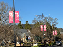 Load image into Gallery viewer, Light pole banner - Standard
